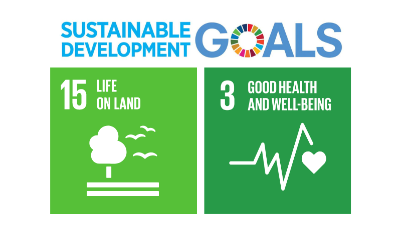 Sustainable Development Goals for International Day of Forests 2023