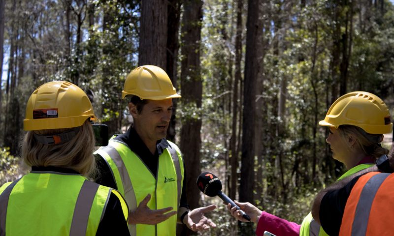 Responsible Wood Sustainability Manager speaks to local media about the intricacies of certified forest management